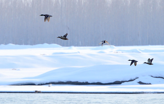 image-20230422214001467