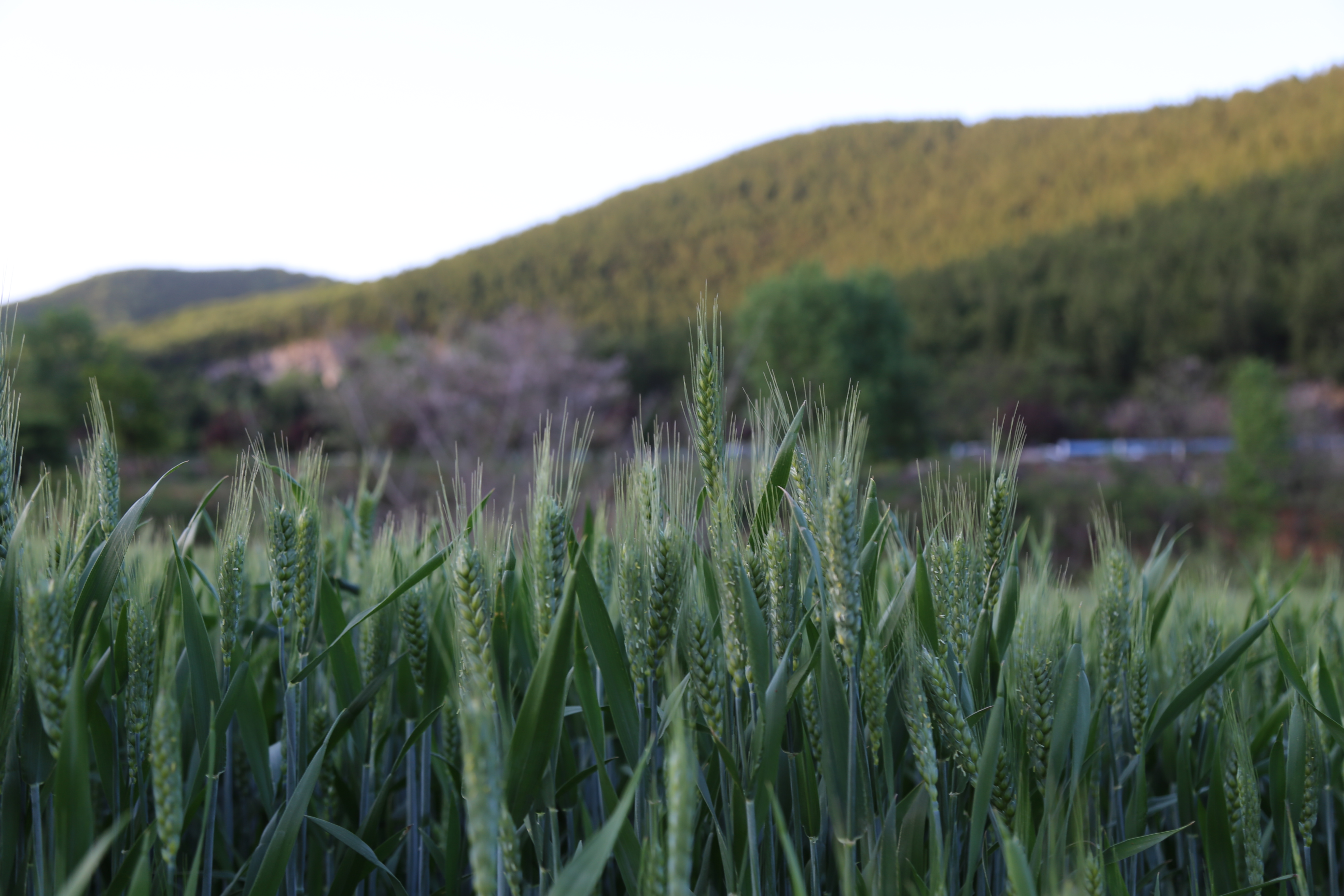 微信图片_20230602183803