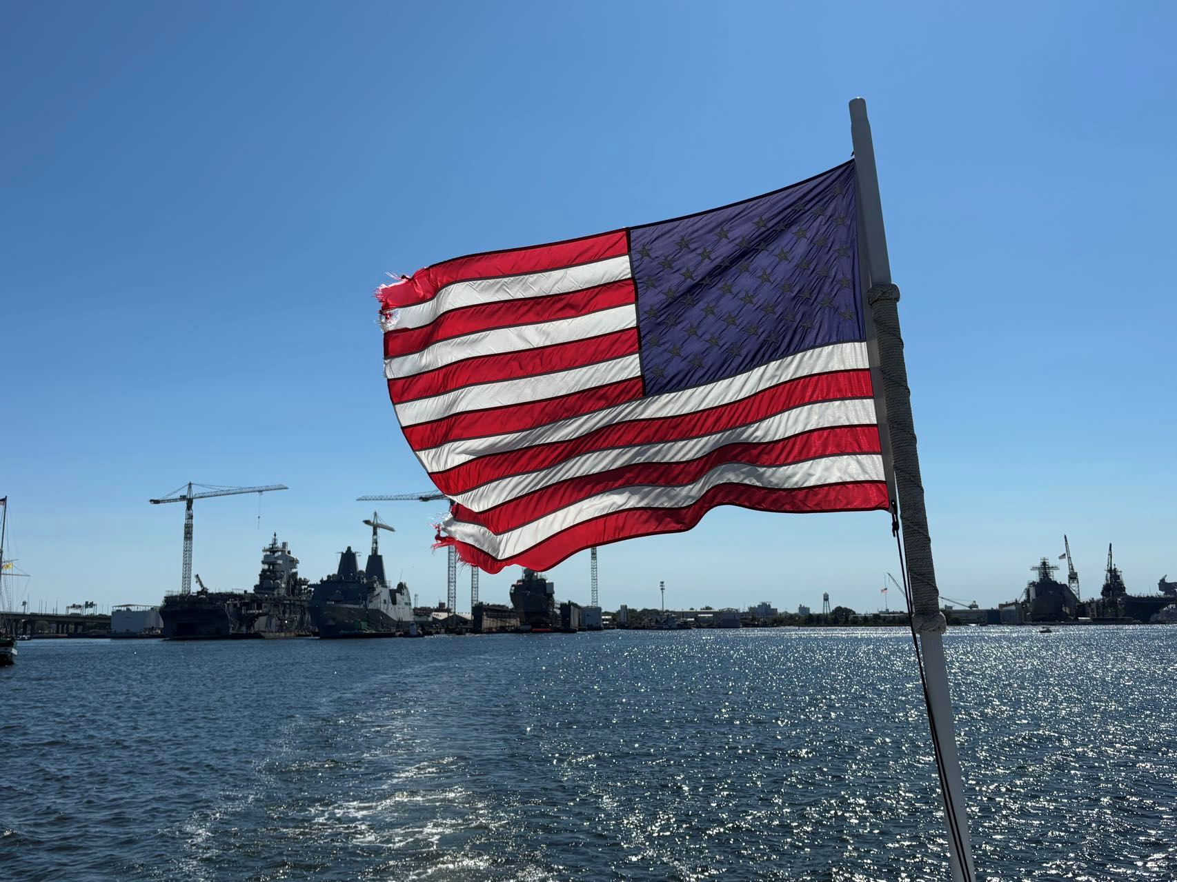 image-20241225104929321